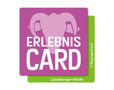 Steinbecker Erntefest