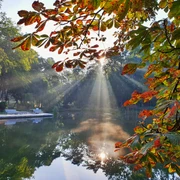 Herbstlich gefärbte Blätter am Ufer, Sonnenstrahlen durchbrechen den Nebel über einem ruhigen Teich.