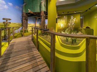 Wattenmeer Besucherzentrum neue Ausstellung