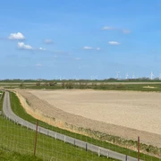 Blick in den Sommerkoog