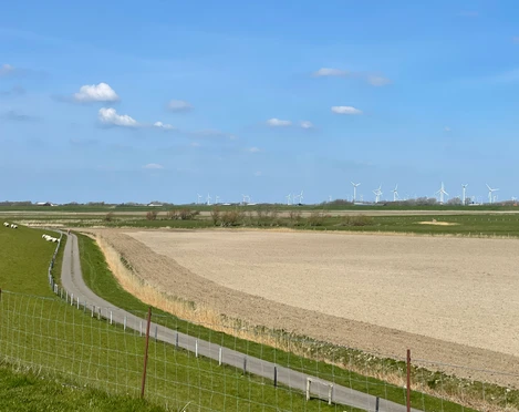 Blick in den Sommerkoog