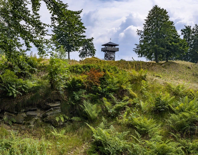 Seelenort-schwalenburg-wallring_c__klaus-peter_kappest.jpg