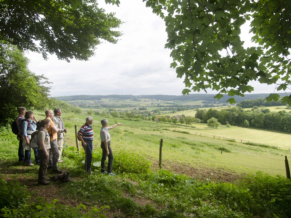 Sachsenring Geführte Wandergruppe im nördlichen Sachsenring von Bad Driburg, mit Ausblick auf Alhausen.