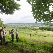 Sachsenring Geführte Wandergruppe im nördlichen Sachsenring von Bad Driburg, mit Ausblick auf Alhausen.