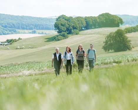 Geführte Wanderung in Bad Driburg Geführte Wandergruppe in Bad Driburg.
