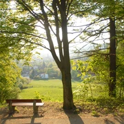 Blick auf die Stadt vom Steinberg Wanderweg mit einer Bank mit Blick auf die Stadt vom Steinberg.
