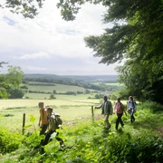 Wandern um Bad Driburg Wanderer wandern in den Wäldern um Bad Driburg herum.