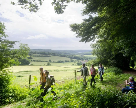 Wandern um Bad Driburg Wanderer wandern in den Wäldern um Bad Driburg herum.