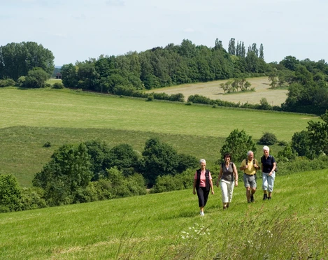 Geführte Wanderung in Bad Driburg Geführte Wandergruppe in Bad Driburg.