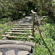 Barfußpfad & Naturparcours auf Schloss Ippenburg