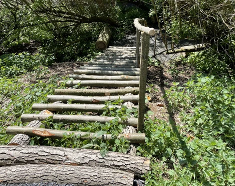 Barfußpfad & Naturparcours auf Schloss Ippenburg