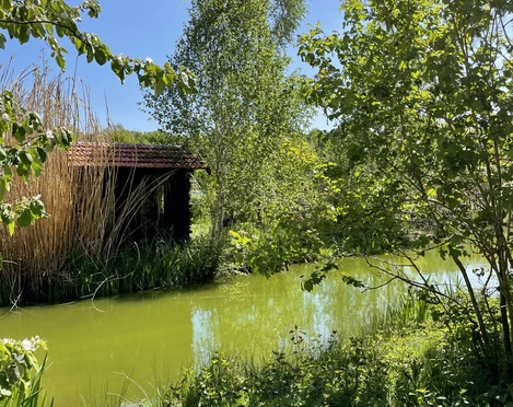 Das Gelände von Schloss Ippenburg