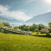 zentralbahn-zug-fruehling-wiese-blumen-brienzersee-oberried.jpg