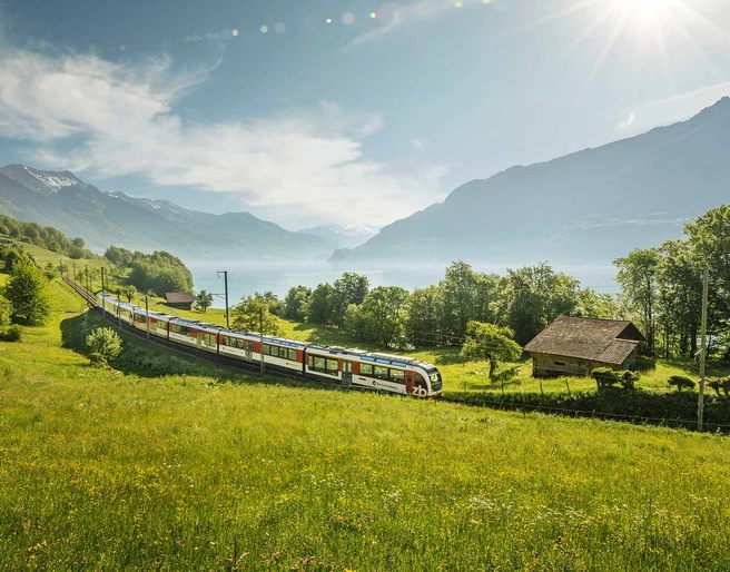 zentralbahn-zug-fruehling-wiese-blumen-brienzersee-oberried.jpg