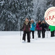 Schneeschuhwanderung