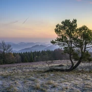 osterkopf-vor-sonnenaufgang_c__klaus-peter-kappest-sauerland-wanderdoerfer.jpg