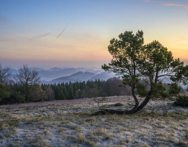 osterkopf-vor-sonnenaufgang_c__klaus-peter-kappest-sauerland-wanderdoerfer.jpg