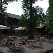 Pfaffenstein Mountain Restaurant Ein leerer Biergarten mit Holztischen und -stühlen unter großen Bäumen und Sonnenschirmen vor einem rustikalen Gebäude.