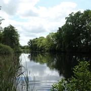 Ruhiger See mit spiegelndem Wasser, umgeben von hohen Bäumen und Schilf unter bewölktem Himmel.