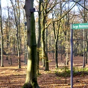 Waldmuseum Burg