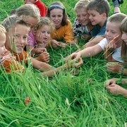 kinder-im-gras c) tourist-information-willingen.jpg