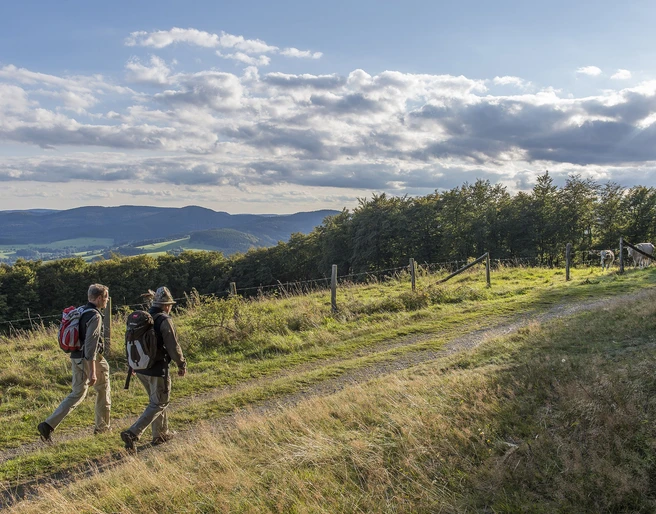 Zwei Wanderer vor toller Aussicht