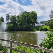 Stadtpark Bad Driburg.jpg Großer Ententeich mit Fontänen im Stadtpark Bad Driburg.