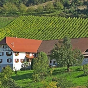 Bild Weingut Vollmer_komp