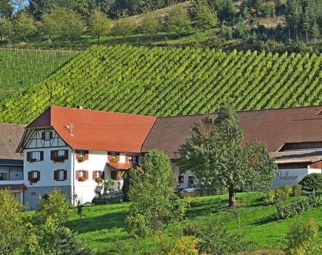 Bild Weingut Vollmer_komp