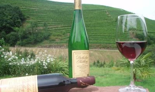 Bild Weingut Vollmer Weinparadies