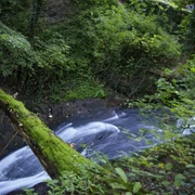 Laufbachwasserfälle bei Loffenau im Murgtal