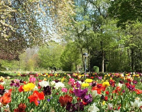 Kurpark Bad Salzdetfurth