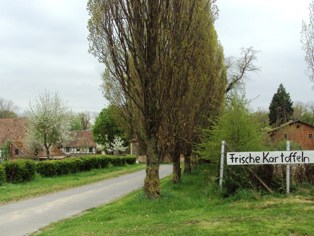 Einfahrt zum Gut Nienrode