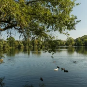 Abtskücher Teich der MuseumsLandschaft Abtsküche in Heiligenhaus Ruhiger Teich mit schwimmenden Enten und üppigem Baumbewuchs im Hintergrund bei klarem Himmel.