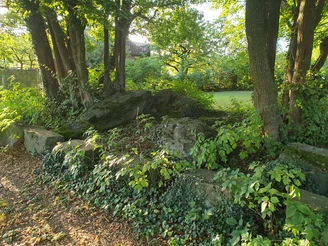 Steinkistengrab Kirchborchen, umgeben von grünen Bäumen und Büschen, in natürlicher Umgebung.