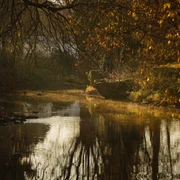 Herbstliche Flusslandschaft mit stillem Wasser, herabhängenden Ästen und sanften Lichtreflexen.
