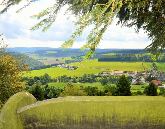 Blick auf Welleringhausen