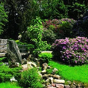 Gernsbach - Kurpark 1