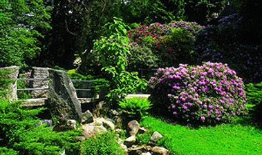 Gernsbach - Kurpark 1