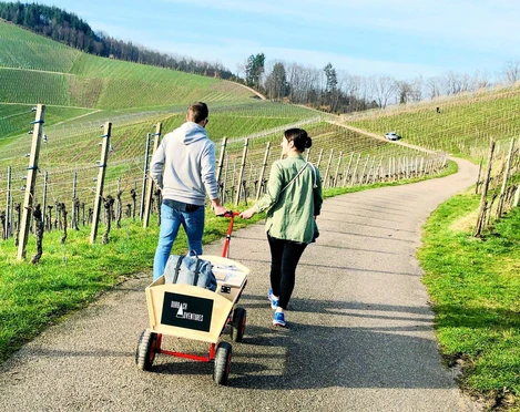 66e3ca7b 100b 4b8b 9f99 c912dec3bd42 clarity