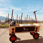 9ff1fa0e 2ab7 416e 9a6a 7ab06edf3430