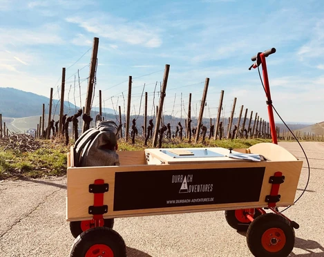 9ff1fa0e 2ab7 416e 9a6a 7ab06edf3430