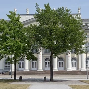 7000 Eichen.jpg