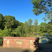 Ein friedvoller Teich, umgeben von dichter Vegetation und sonnigem, klarem Himmel im Hintergrund.