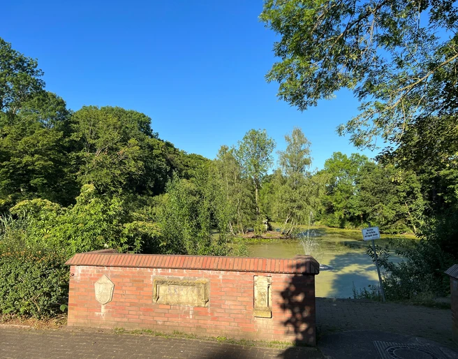 Ein friedvoller Teich, umgeben von dichter Vegetation und sonnigem, klarem Himmel im Hintergrund.