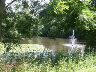 Ein idyllischer Teich mit Seerosen, von Bäumen umrahmt. Ein Wasserfontäne verleiht Dynamik.