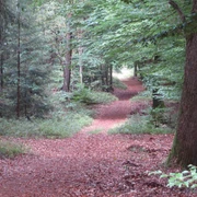 Wanderweg Volkwardingen Sellhorn (2).JPG