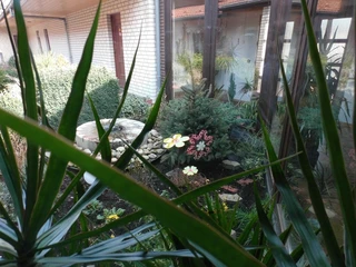Vorgarten Hotel Kreye in Salzgitter-Bruchmachtersen