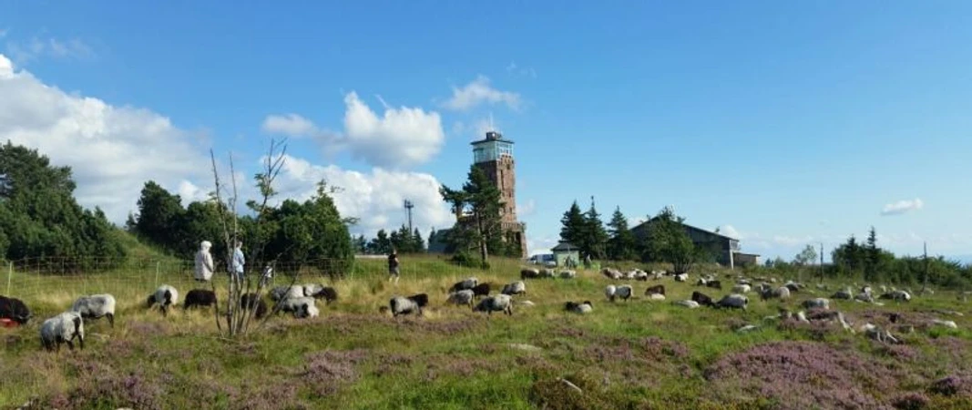 Hornisgrinde copyright Tourist-Info. Seebach