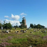 Hornisgrinde copyright Tourist-Info. Seebach